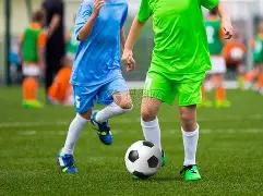 葡萄牙迎来,孔塞桑回归,伊布欧冠活,九游会官网,九游会J9,九游会娱乐,九游会下载,九游会平台